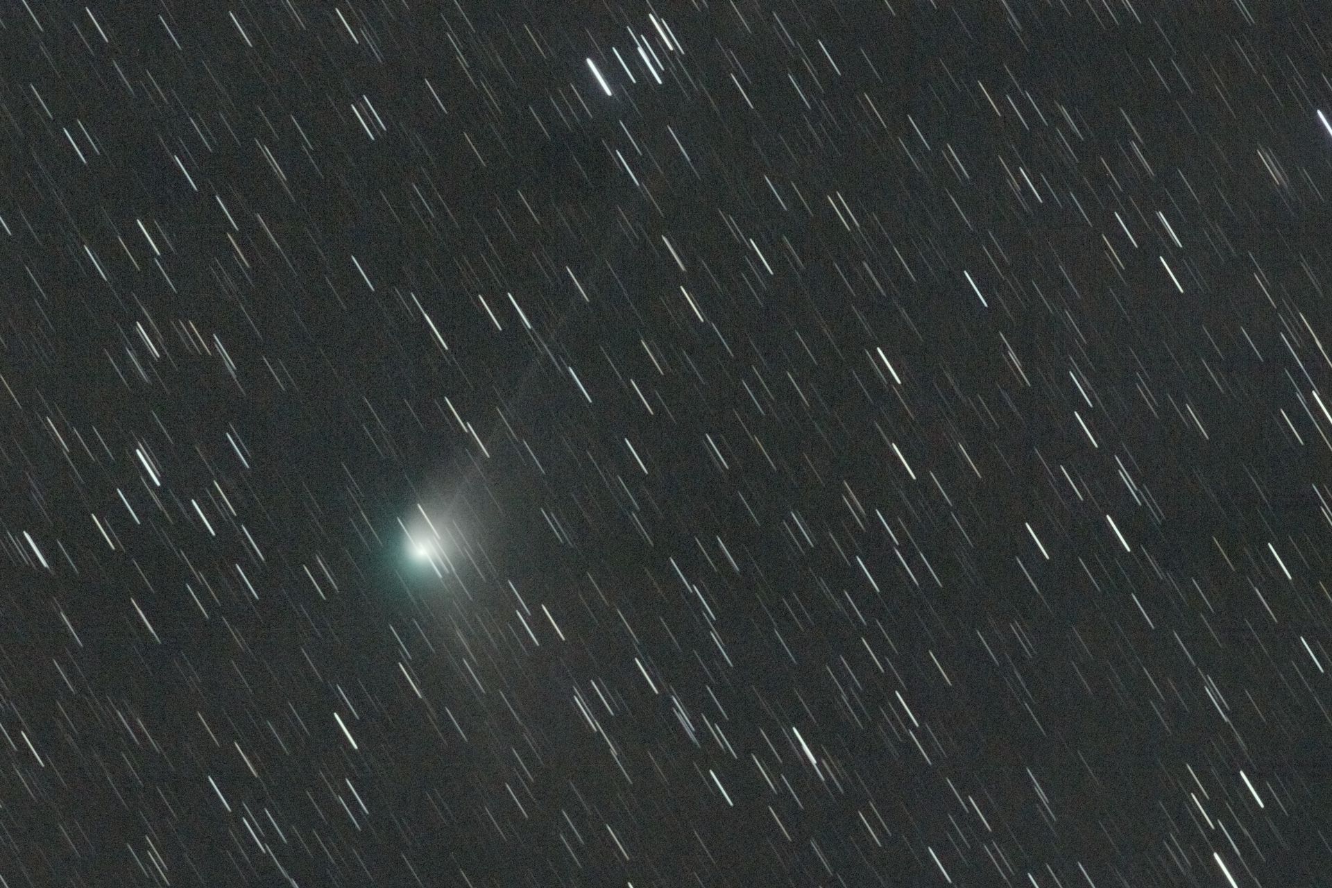 Komet C/2022 E3 ZTF am 29.1.2023 (Helmut Metz, WHS)