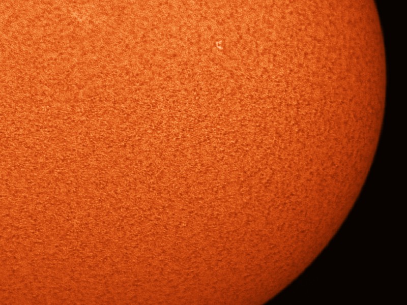 Bild6Sonne8farbeam030421AR12783