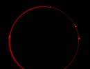 Bild7VollsonneProt1250421 Bild7VollsonneProt1250421