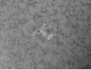 AR12825vom300521 AR12825vom300521