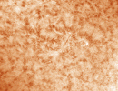 AR12827300521farb AR12827300521farb
