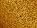 AR12833am190621 AR12833am190621