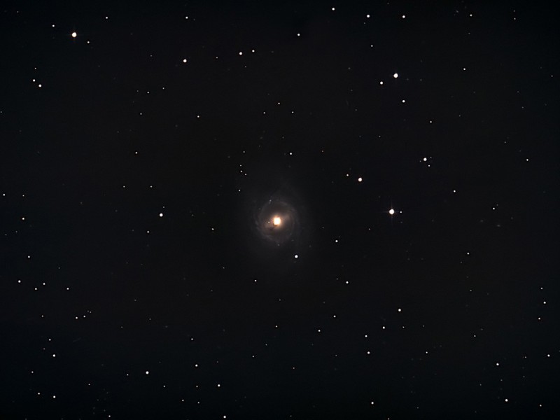 M95 tp