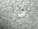 sonnehalphaar12863vom03.09.21evostar1021000asi174mm sonnehalphaar12863vom03.09.21evostar1021000asi174mm