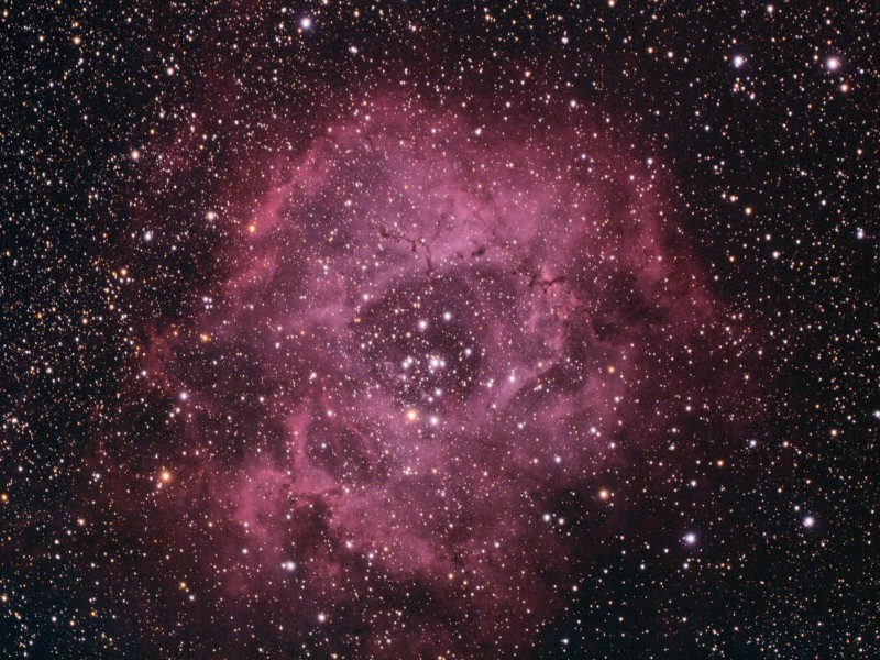 ngc2244 mit cda1 14