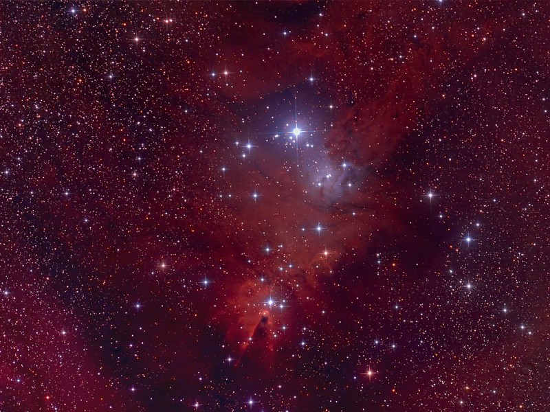 ngc2264 tp