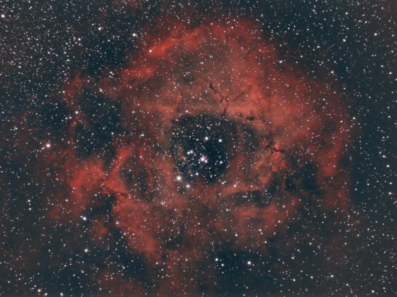 ngc2244autosave abekomposit