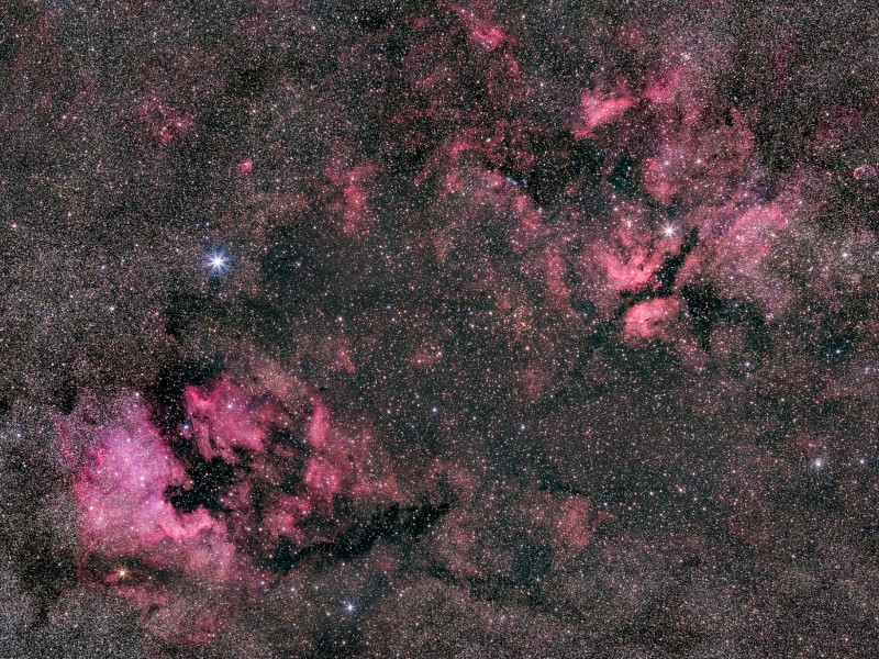 widefield ngc7000