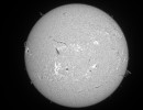 09 36 l3 ap11964monoaf