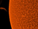 115p2invimppg